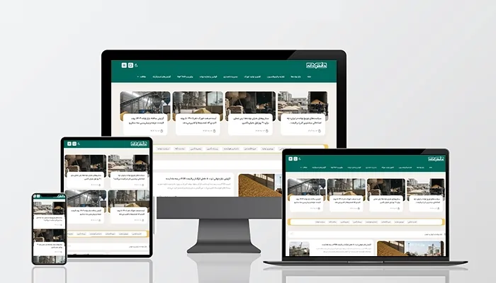 طراحی ریسپانسیو وبسایت دانش‌دانه توسط رومت